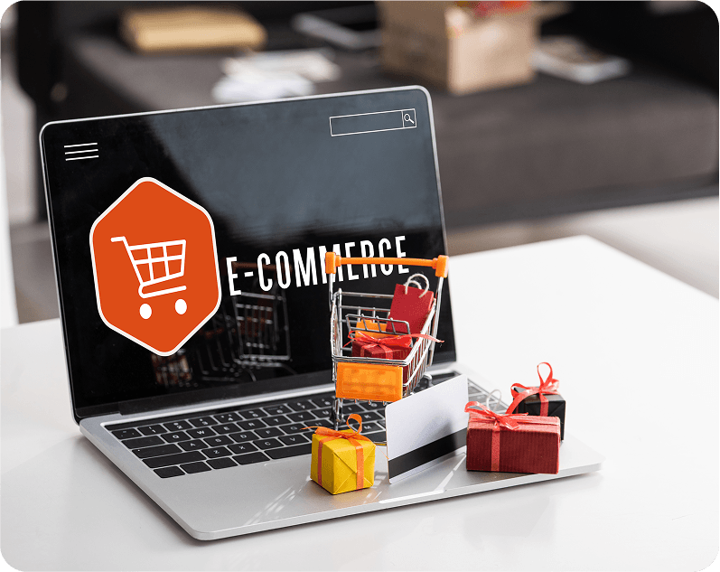 What are E-commerce Website Development Services?